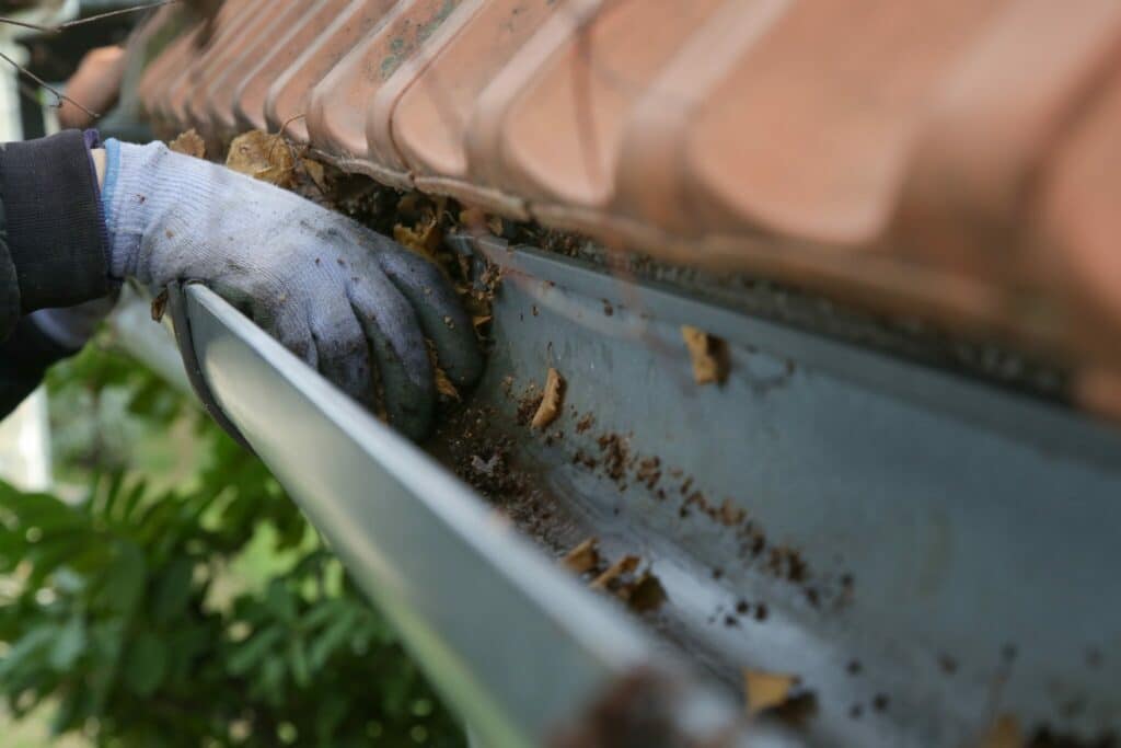 Protecting Your Leon County Roofline Ahead of Seasonal Freezes