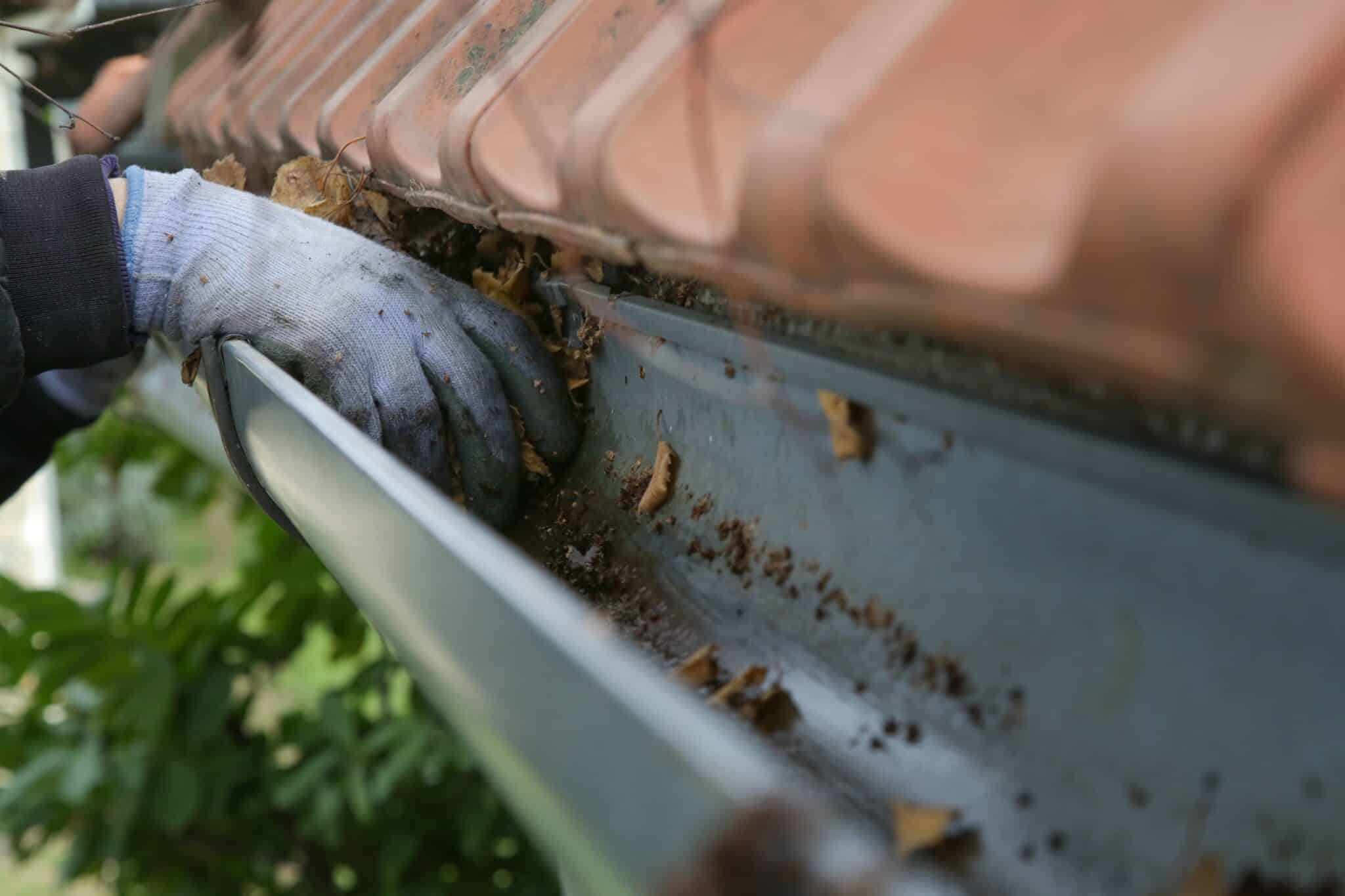 Why Routine Gutter Cleaning Is Essential for Homes in Crawfordville, Florida?