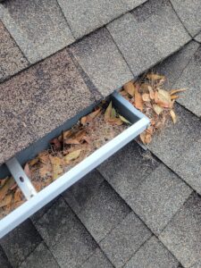Protecting Your Leon County Roofline Ahead of Seasonal Freezes