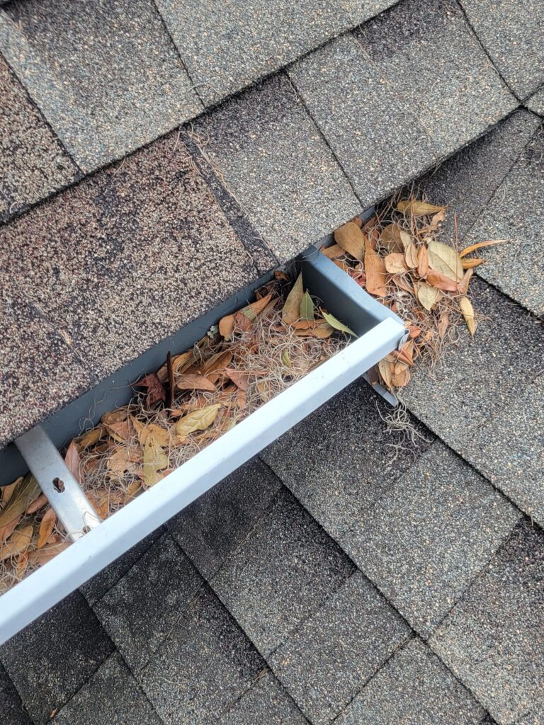 Protecting Your Leon County Roofline Ahead of Seasonal Freezes