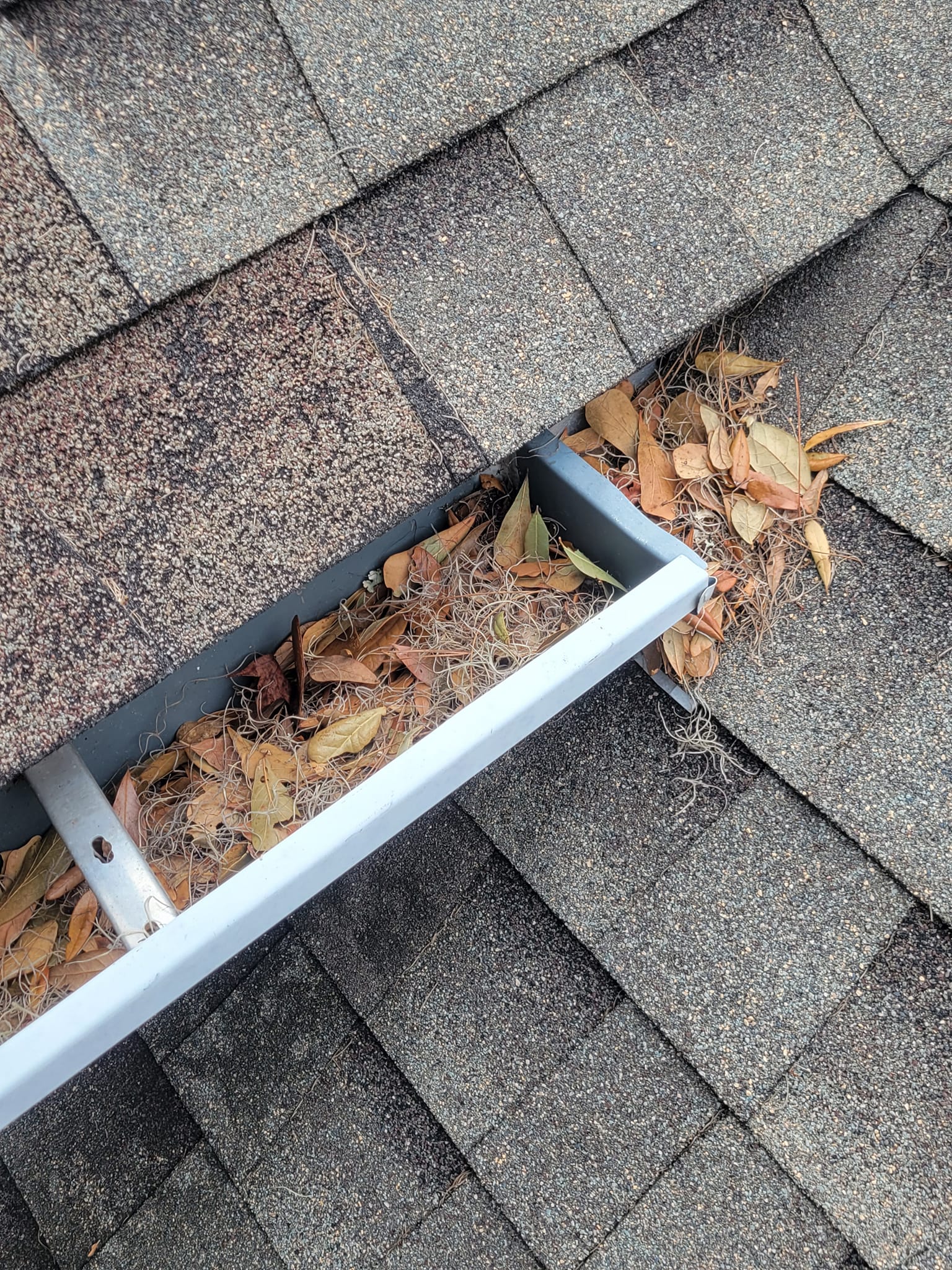 Protecting Your Leon County Roofline Ahead of Seasonal Freezes